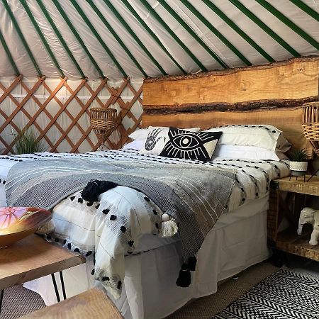 O Dan Y Coed Luxury Yurt With Hot Tub Hotel Chwilog Buitenkant foto
